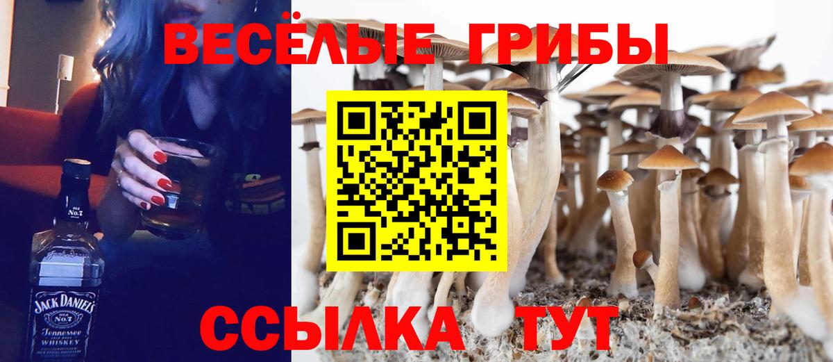 Галлюциногенные грибы Magic Shrooms  Вход с VPN  Лангепас  Псилоцибиновые грибы GOLDEN TEACHER 